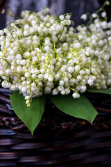 Lily of the valley on wooden background. Lily of the valley bouquet