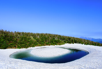 ドラゴンアイ

秋田県仙北市八幡平にある鏡沼です。
5月下旬から見られる残雪の姿から
ドラゴンアイと呼ばれています。