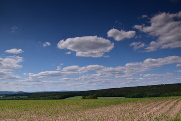 Obraz premium Cumulus Wolken