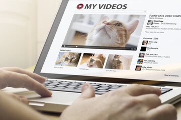 home computing videos cats