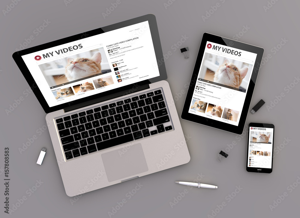 Canvas Prints responsive design cats video streaming zenith view