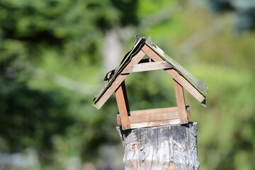 bird feeders. tree house for the birds, cheerful apartment.