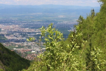 berg sofia bulgarien witoscha vitosha wandern