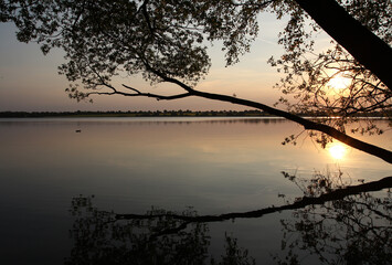 Baum über See im Sonnenuntergang - 157816581