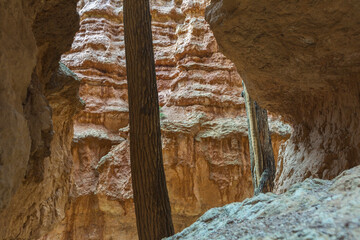 Navajo Loop Trail. Bryce Canyon National Park, Garfield County, Utah, USA.