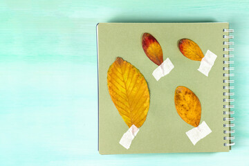 Dry leaves in notebook on teal background with copyspace