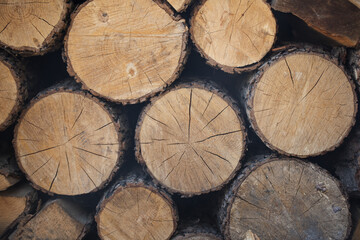 Naklejka premium Firewood for the fireplace, barbecue. A man chopping wood for a barbecue. Folded firewood