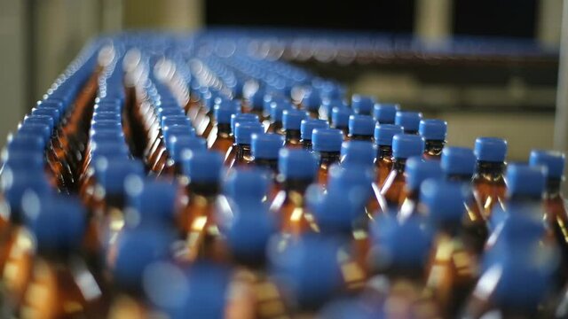 bottles on a conveyor belt factory