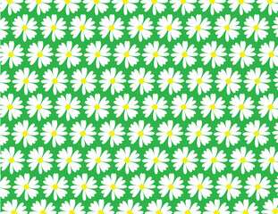 White Daisies on Green Background