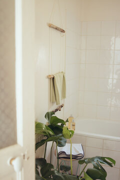 salle de bain v&eacute;g&eacute;tal plante monstera d&eacute;coration