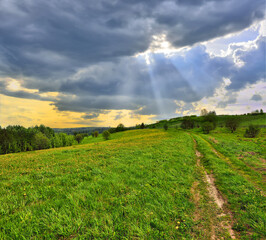 Sun beams through clouds floating over the meadow © rvo233