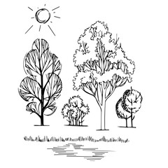 graphic illustration of trees on a white background