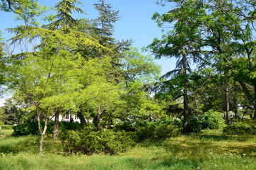 Парковая зона на Историческом бульваре в городе Севастополь