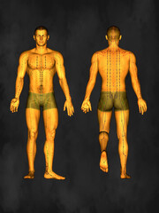 Acupuncture model, 3D illustration