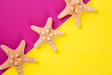 Three starfishes on colored yellow and crimson backgrounds with negative space, top view.