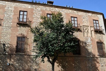 Fototapeta na wymiar The tree against the building. Spain