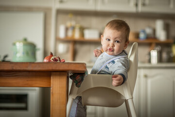 Portrait of blonde baby boy sitting at the dinner table eating pomegranate