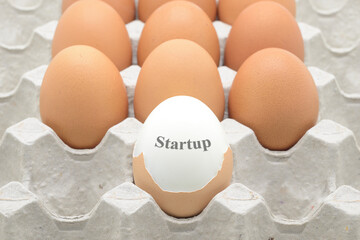 eggs put on crate with Startup text