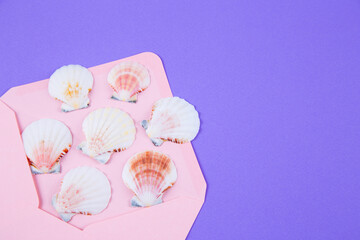 Pink envelope with many scallop shells on colored purple background