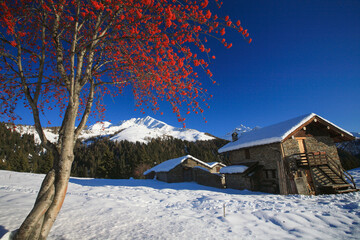 Fototapeta premium Bitto valley, Orobie Alps, Lombardy, italy