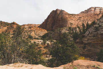 Zion National Park Landscapes