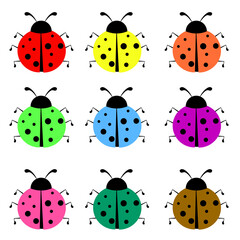 Fototapeta premium ladybug