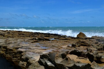 The reef in the ocean. Brazil