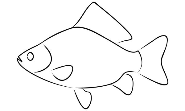 recommend clip art: fish