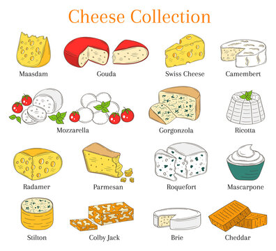 Vector set of different types of cheese, hand drawn illustration isolated on white background.