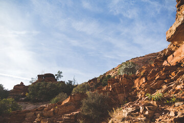 Zion National Park Landscapes