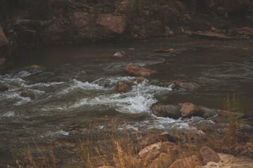 Zion National Park Landscapes