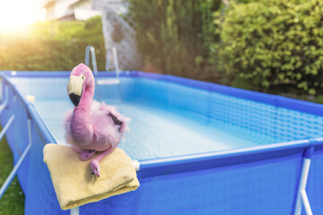 Obraz premium Przy basenie siedzi pluszowy flaming - flary z soczewkami