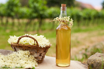 Homemade elderflower syrup in a bottle and basket with elderflowers