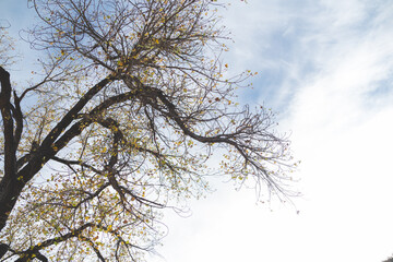 Zion National Park Landscapes