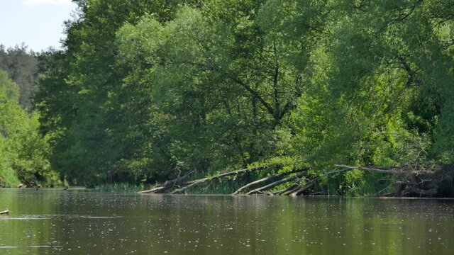 Beautiful day at river bank. Small river Wkra in the middle of Poland.