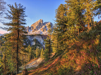 Sass de Putia in background enriched by colorful woods. Passo delle Erbe. Puez Odle South Tyrol Dolomites Italy Europe
