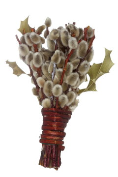 Palmenbusch als Symbol am Palmsonntag