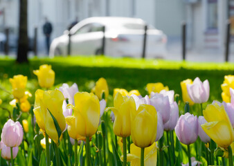 Fototapety na wymiar - Fototapeta24.pl