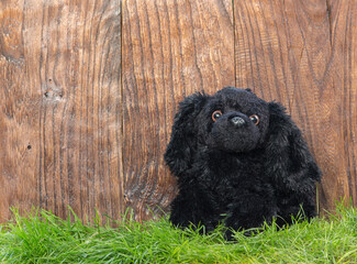 Plush toy dog on the lawn