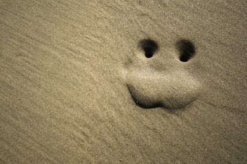 Fototapeta na wymiar Smile on sand