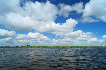 Beautiful landscape of the Danube Delta, Romania (Delta Dunarii)
