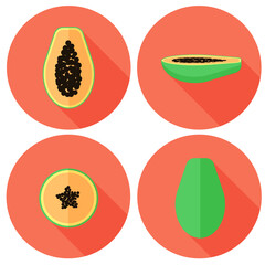 Vector papaya exotic fruit set in flat style with circles isolated on the white background