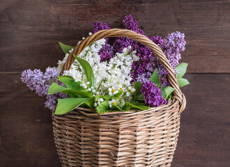 wicker basket with spring flowers on dark wooden background