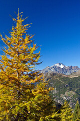 A look on Valmalenco and the pyramid of Mount Disgrazia in autumn. Valtellina. Lombardy. Italy Europe