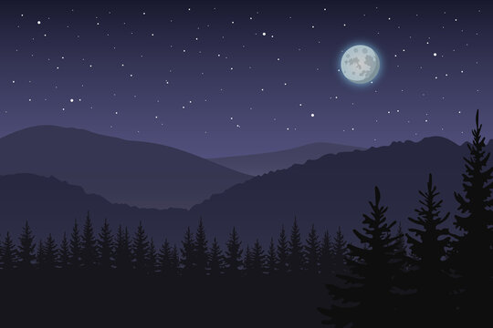 Illustration of night forest landscape. 