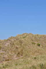 Dünenlandschaft an der deutschen Nordseeküste an einem sonnigen Tag im Frühling