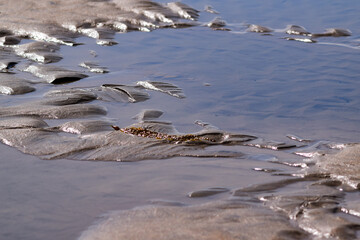 Low Tide