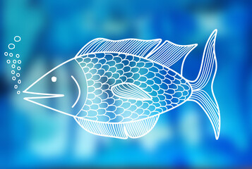 White fish on blue