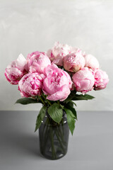 Pink peony flower on a gray background.copy space