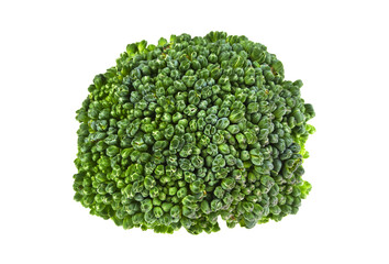 Fresh cabbage of broccoli on a white background